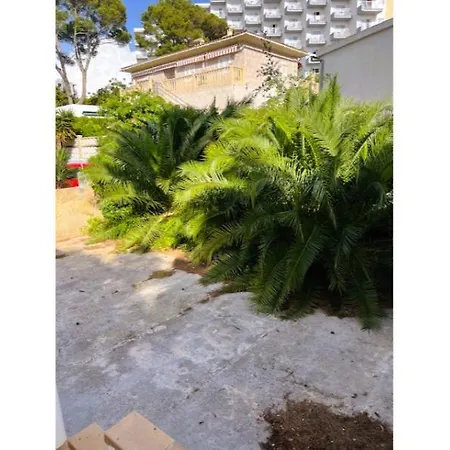 Jacinta * Palma de Mallorca